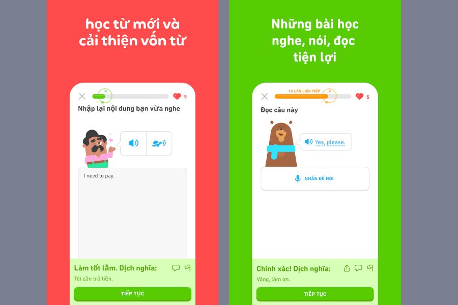 Banner Hack Duolingo