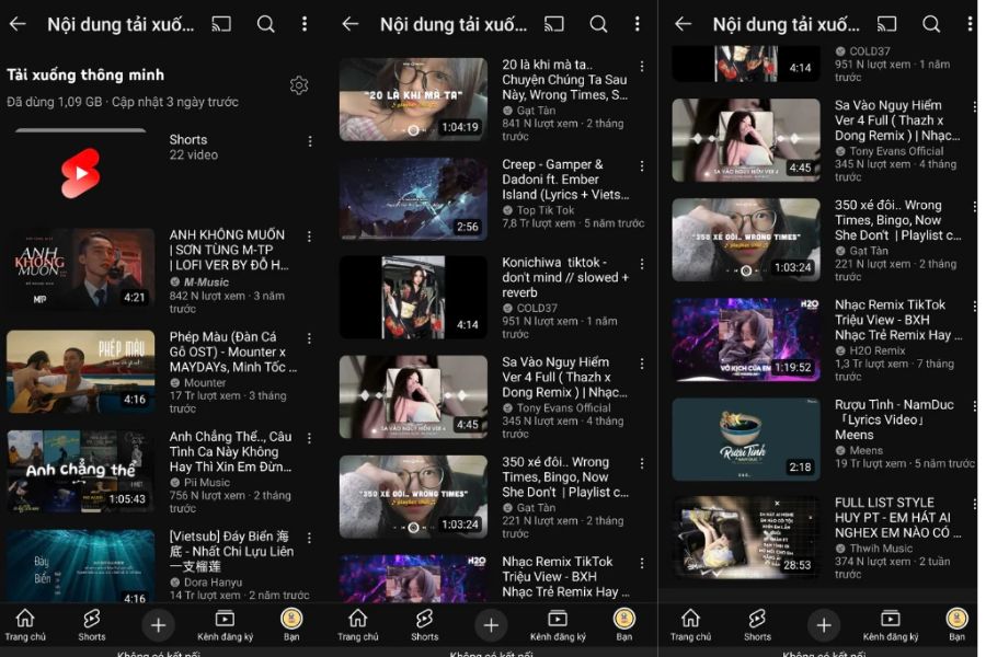 Banner YouTube Premium Mod