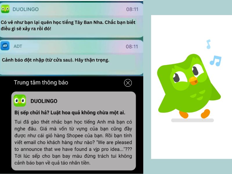 Nhắc nhở học tập độc chiêu trong Duolingo