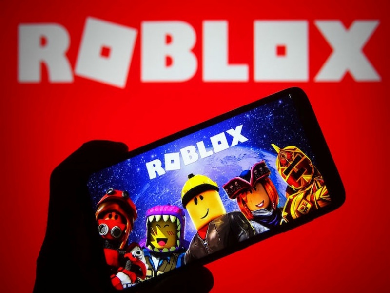Giới Thiệu Chung Về Roblox VNG