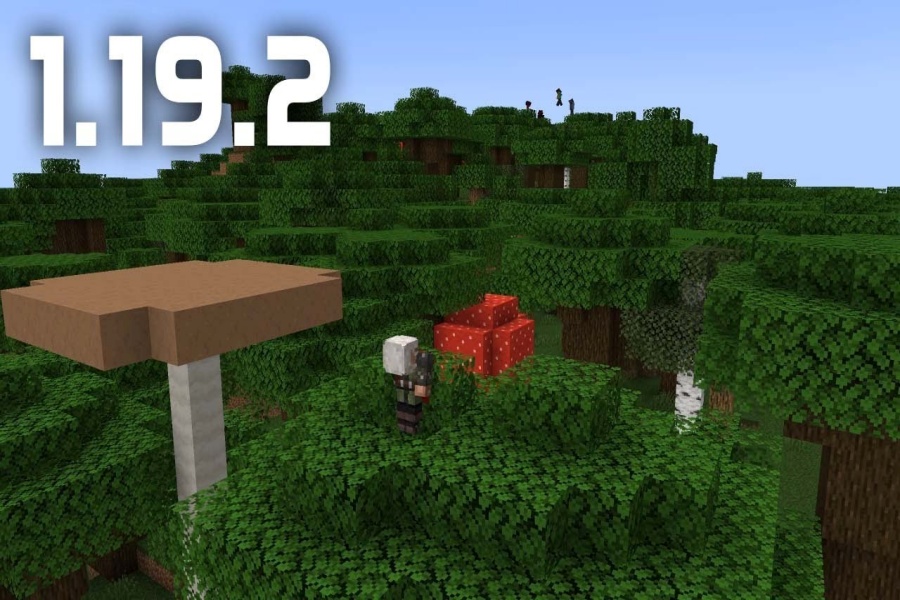 Minecraft 1.19.2 3