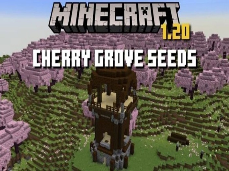 Quần xã rừng anh đào Cherry Grove thơ mộng