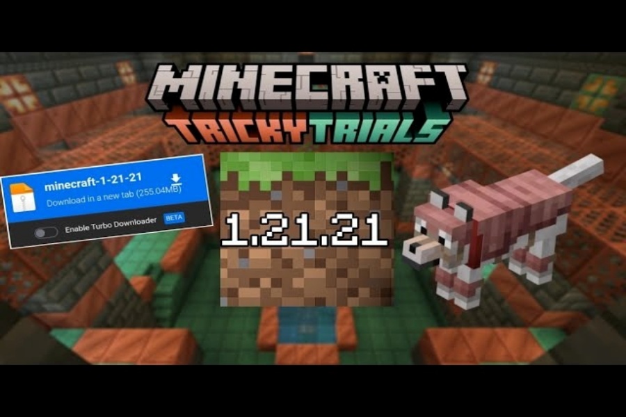 Minecraft 1.21.1 2