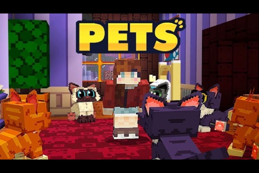 Crafting And Building Apk
