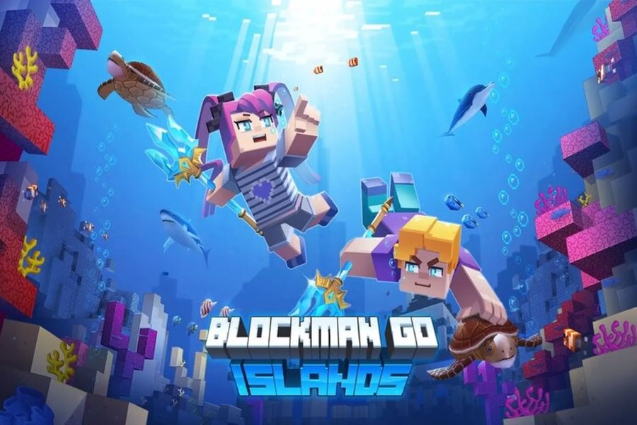 Hack Blockman Go