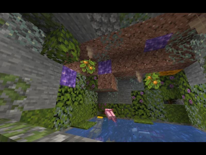 Khối rêu treo trong Minecraft 1.21.60 APK