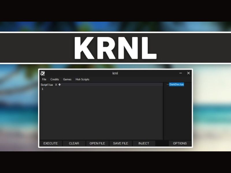 Công Cụ Krnl VNG Có Điểm Gì Vượt Trội?