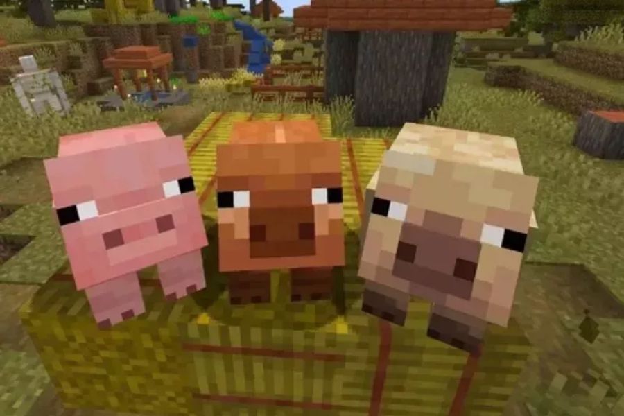 Minecraft 1.21.71