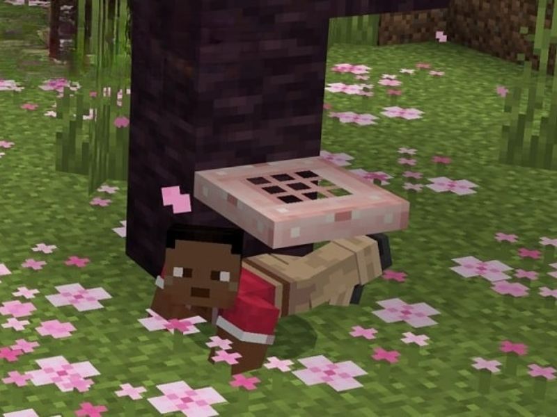 Hành động lén lút và bò mượt mà hơn trong Minecraft 1.20.1 APK