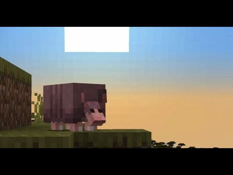Sinh vật Armadillo trong Minecraft 1.20.51