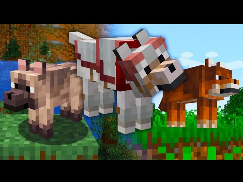Dùng Armadillo Scutes chế tạo áo giáp sói bảo vệ trong Minecraft 1.20.80 APK