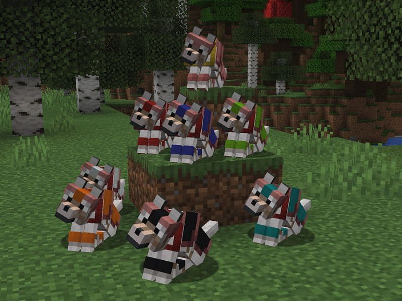 Nhiều biến thể sói hơn trong Minecraft 1.20.80 APK