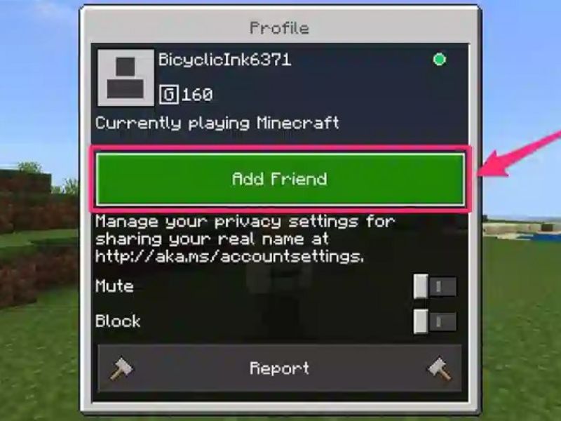 Cải tiến đối với tính năng tìm bạn bè trong Minecraft 1.20.80 APK