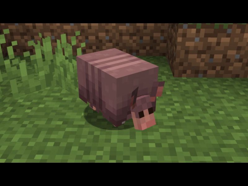 Sinh vật Armadillo trong Minecraft 1.21.0