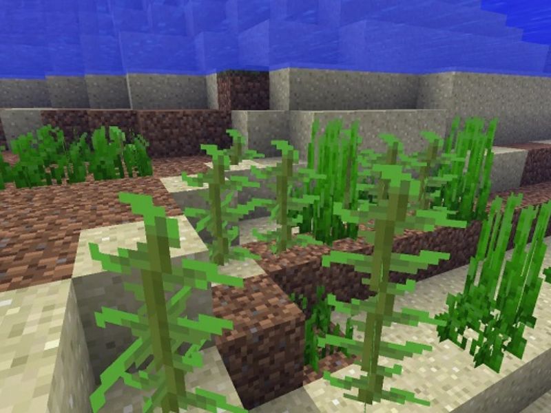 Một số tính năng mới cho các khối trong Minecraft 1.21.30 APK