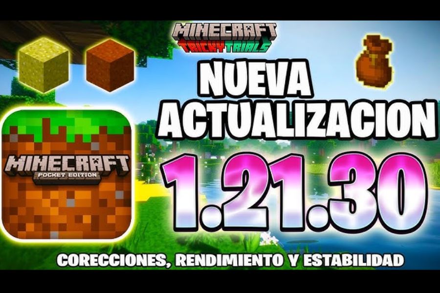 Minecraft 1.21.30