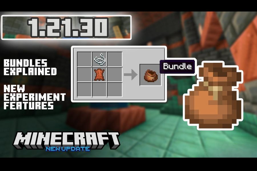Minecraft 1.21.30