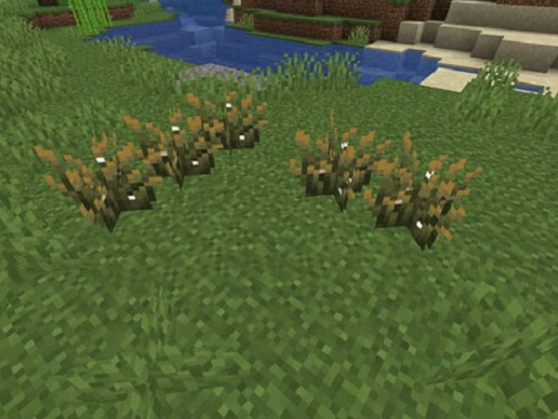 Cập nhật loài cây phát sáng mới Firefly Bush trong Minecraft 1.21.70 APK