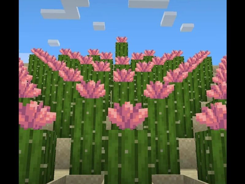 Hoa xương rồng trong Minecraft 1.21.70 APK