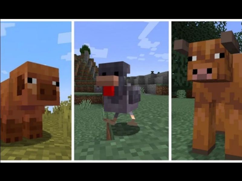 Hệ sinh thái động vật trong Minecraft 1.21.72