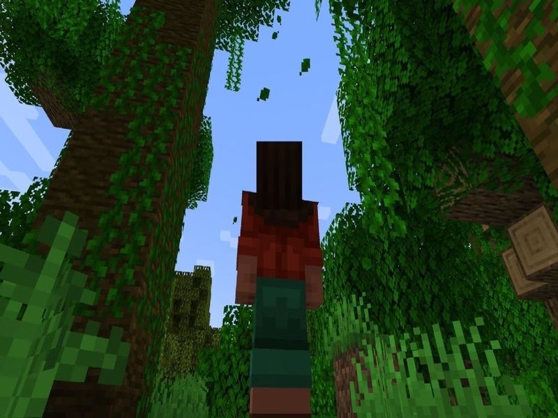 Hiệu Ứng Môi Trường Được Nâng Cấp trong Minecraft 1.21.80