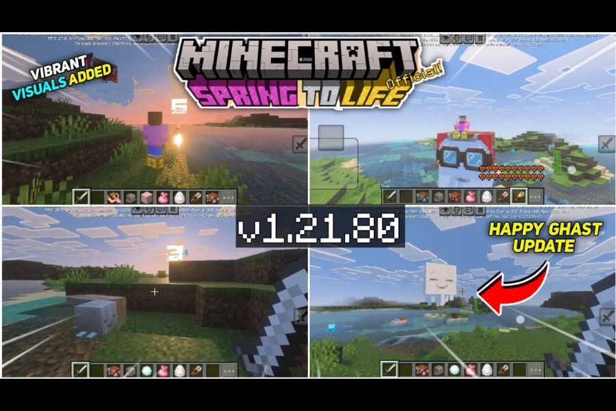 Minecraft 1.21.80