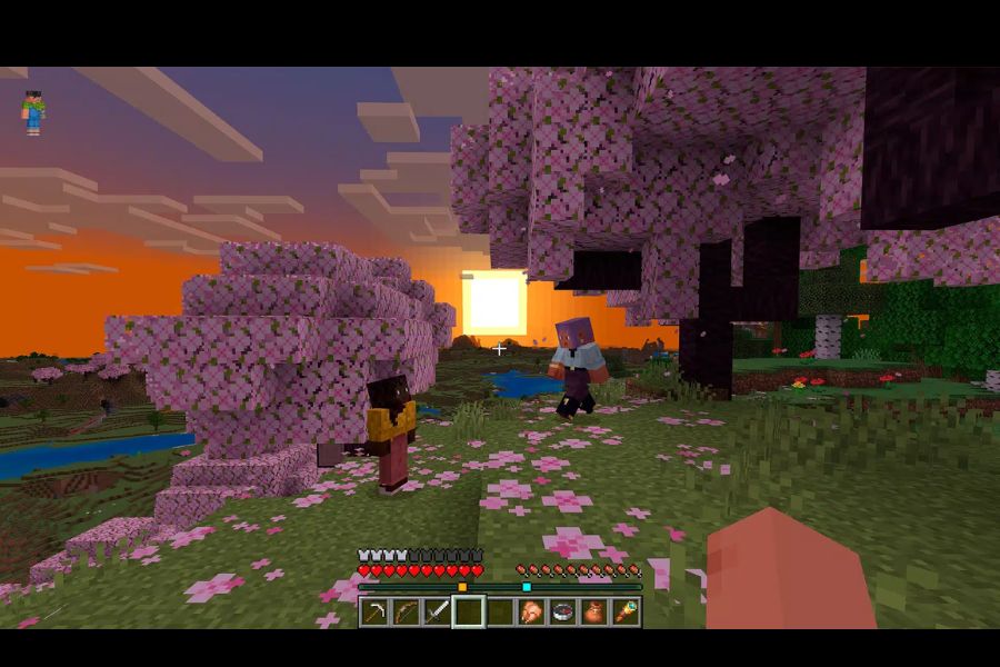 Minecraft 1.21.80