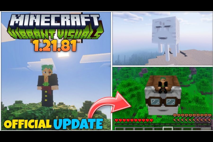 Minecraft 1.21.81